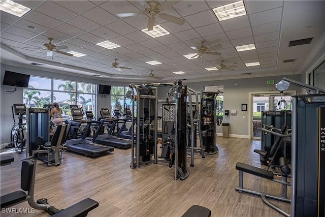 workout area with a paneled ceiling, light hardwood / wood-style floors, and ceiling fan