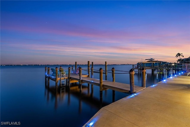 dock area with a water view