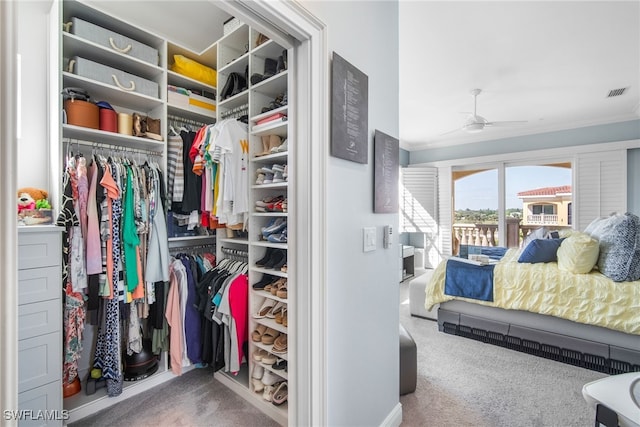 spacious closet with ceiling fan and carpet flooring