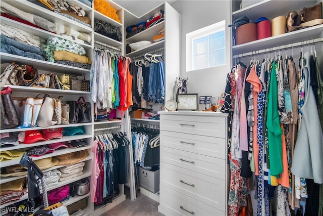 view of spacious closet