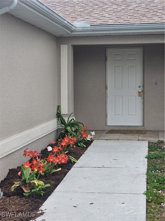 view of exterior entry with roof with shingles and stucco siding