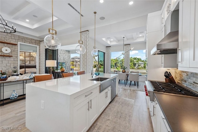 kitchen with appliances with stainless steel finishes, a tray ceiling, white cabinets, a center island with sink, and wall chimney exhaust hood