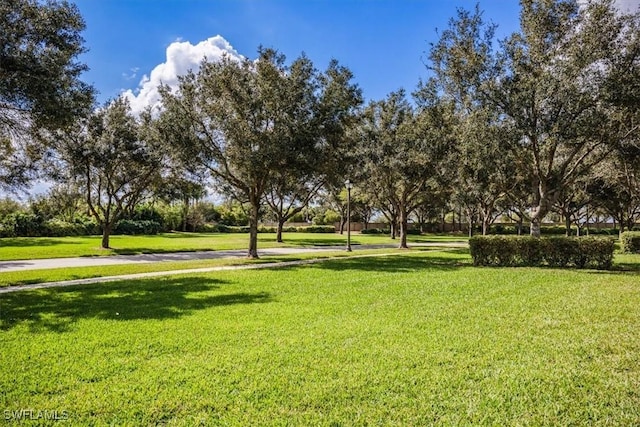 view of property's community featuring a lawn