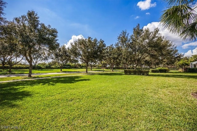 view of home's community featuring a lawn