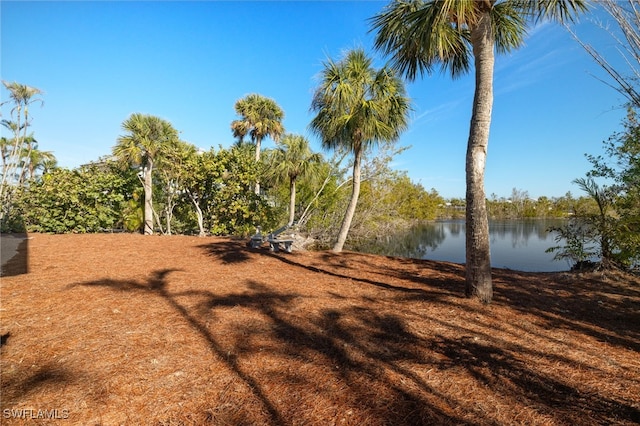 view of yard with a water view