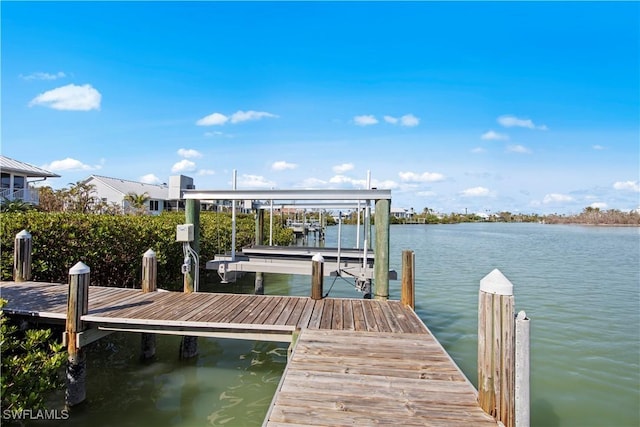 dock area with a water view