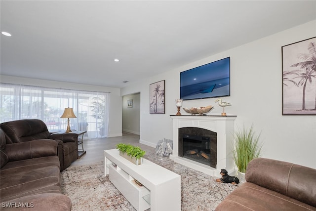 living room with a high end fireplace and light hardwood / wood-style floors