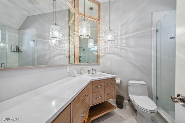 bathroom with vanity, toilet, and a shower with shower door