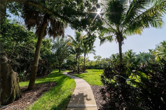 view of property's community featuring a yard