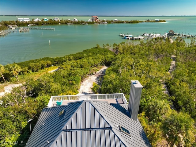 drone / aerial view with a water view