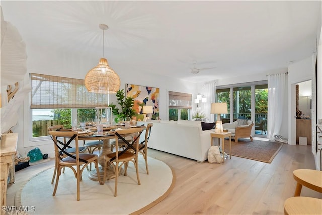 dining space featuring light wood-type flooring