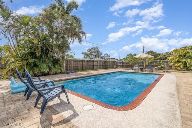 view of pool featuring a patio