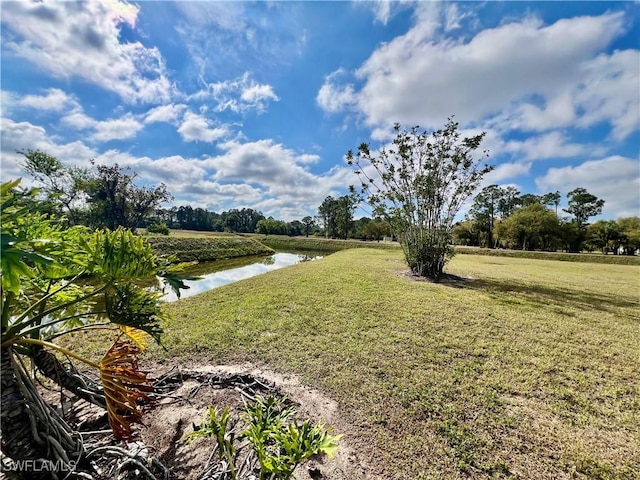 view of yard with a water view