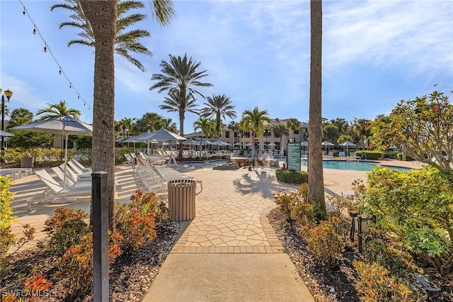 view of swimming pool with a patio area