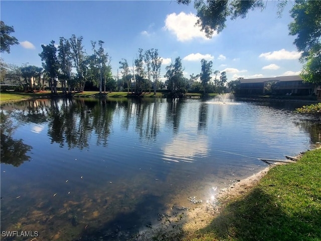 view of water feature