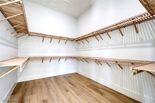 spacious closet with hardwood / wood-style floors