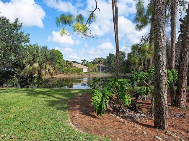 view of yard with a water view