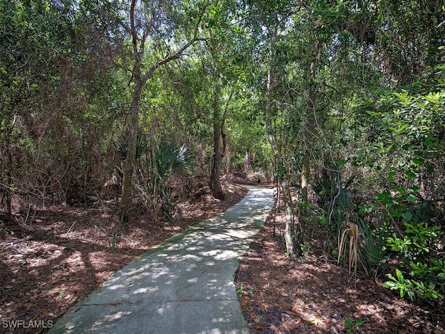 6431 Birchwood Ct, Naples, FL 34109 - view of community with driveway and a view of trees