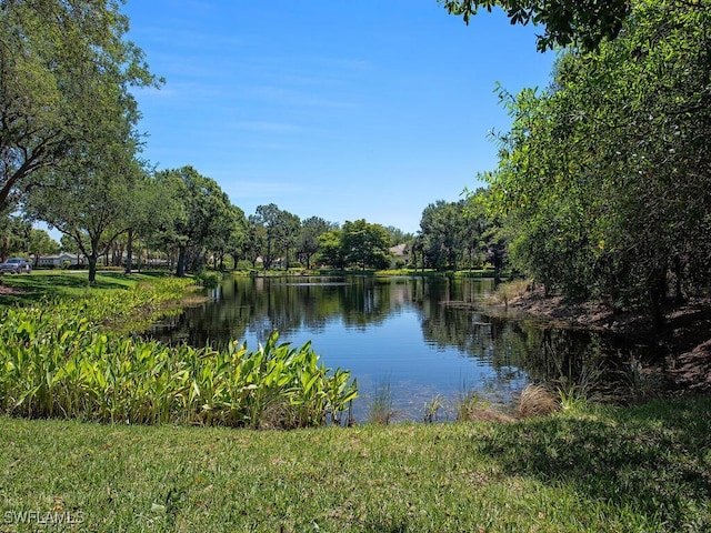 property view of water