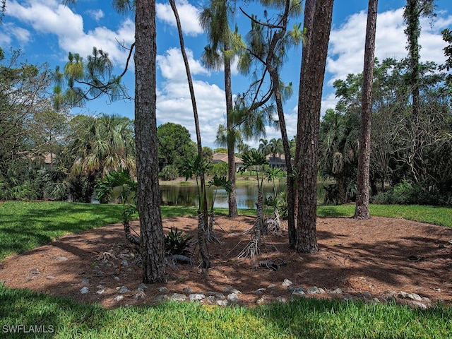 6431 Birchwood Ct, Naples, FL 34109 - view of yard with a water view