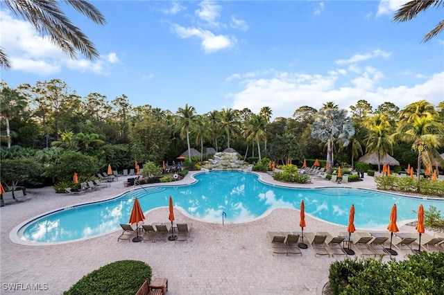 view of pool featuring a patio area