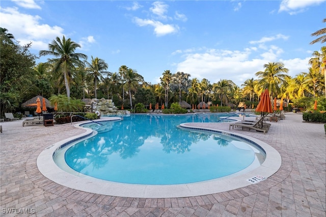 view of pool featuring a patio