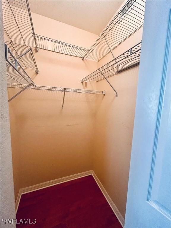 view of walk in closet