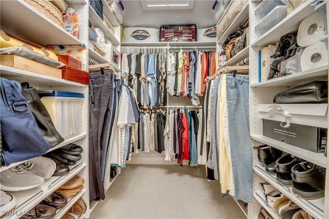 view of spacious closet