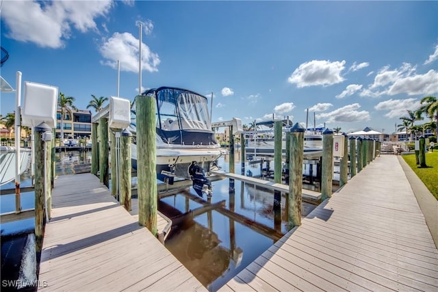 dock area with a water view