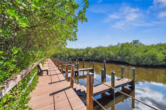 dock area featuring a water view