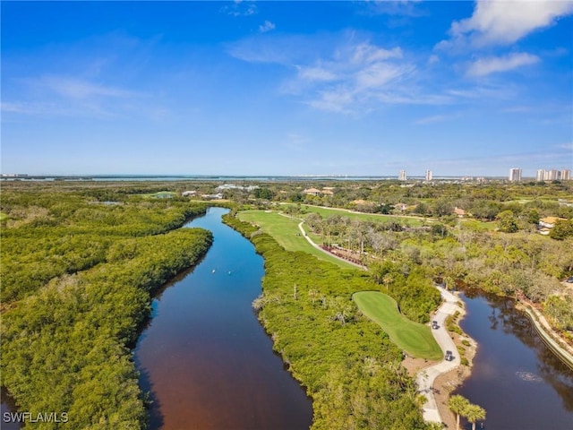 bird's eye view with a water view