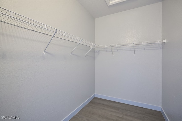 walk in closet with hardwood / wood-style flooring