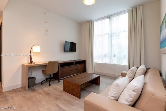 office space featuring a healthy amount of sunlight and light hardwood / wood-style floors