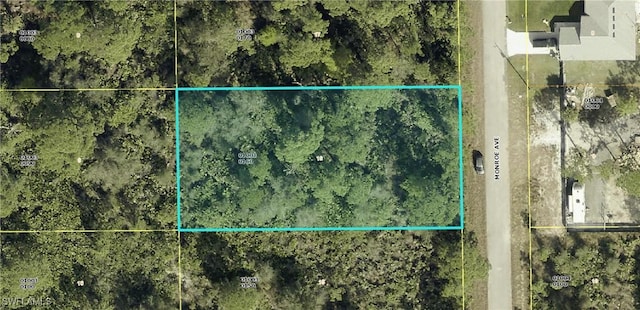 2007 Monroe Ave, Alva FL, 33920 land for sale