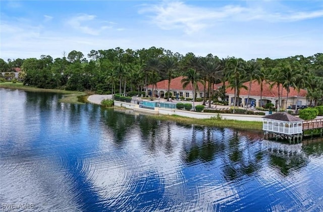 view of water feature