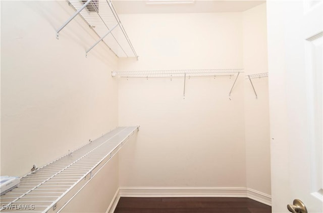 spacious closet featuring dark hardwood / wood-style floors