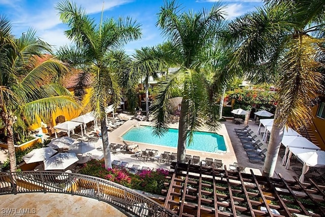 view of pool with a patio area