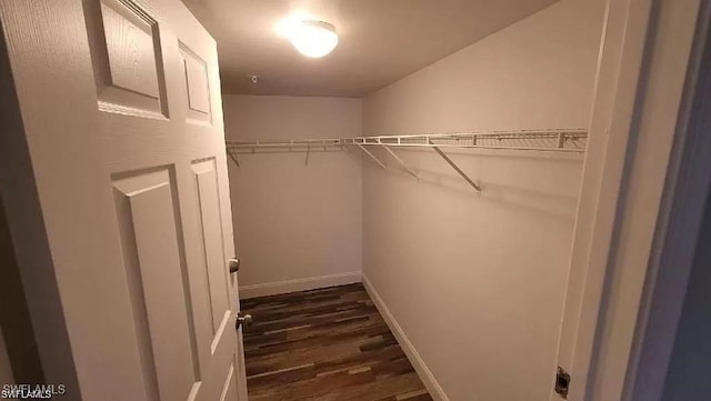 walk in closet featuring dark wood-style flooring