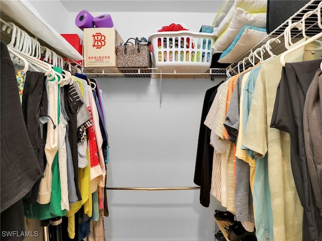 view of spacious closet