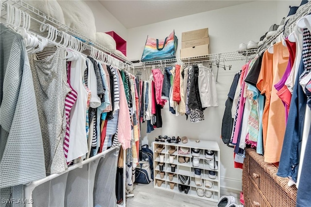 walk in closet featuring wood finished floors