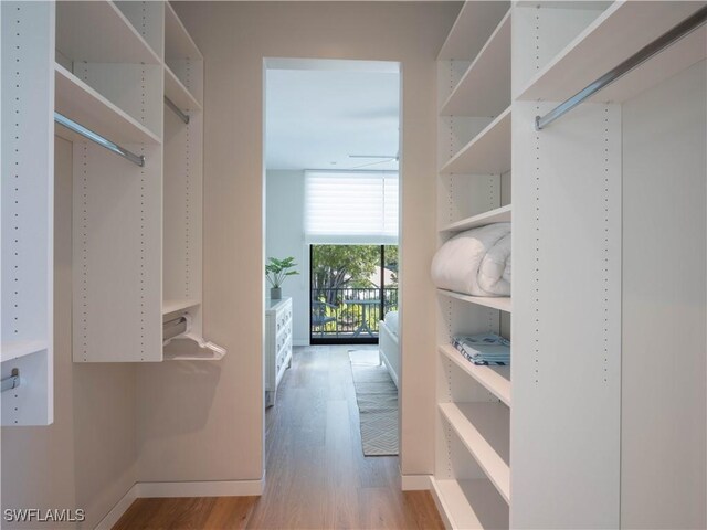 spacious closet featuring wood-type flooring