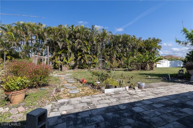 view of yard with a patio area