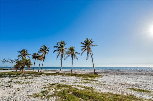 water view featuring a beach view