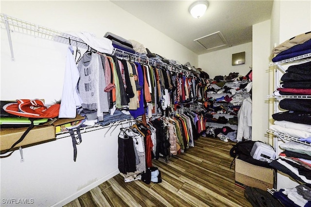 spacious closet featuring wood-type flooring