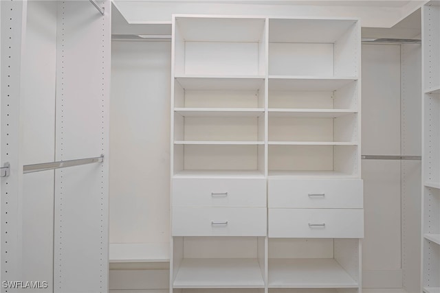 view of spacious closet