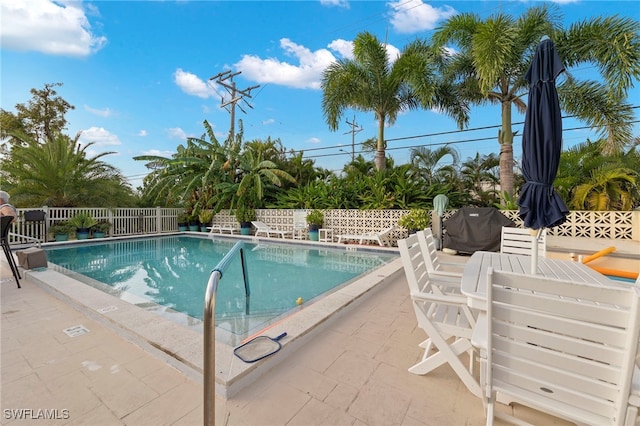 view of swimming pool with a patio area