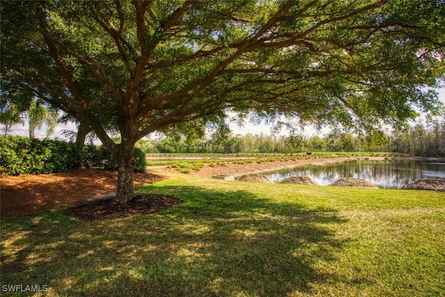 view of yard featuring a water view