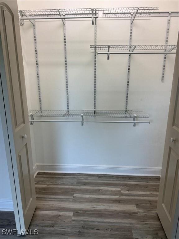 walk in closet with dark wood finished floors