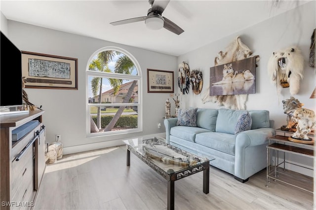 living room featuring ceiling fan and light hardwood / wood-style flooring