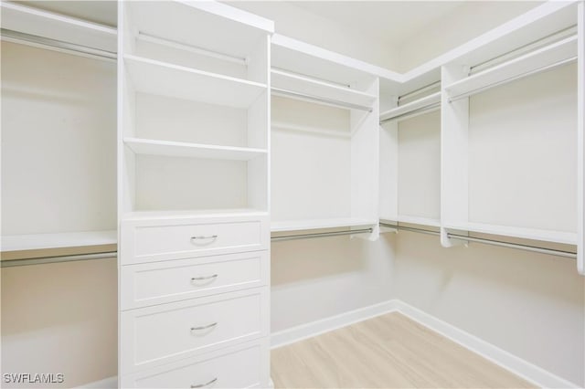 spacious closet with light wood-type flooring